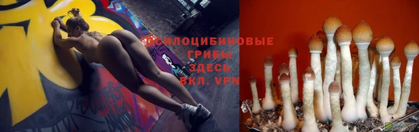 MESCALINE Баксан
