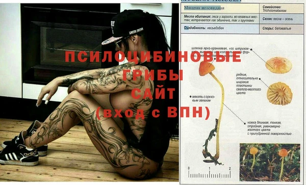 не бодяженный Балахна