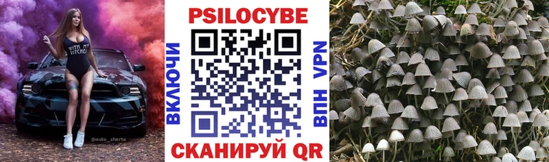 Галлюциногенные грибы мицелий  Старый Крым 